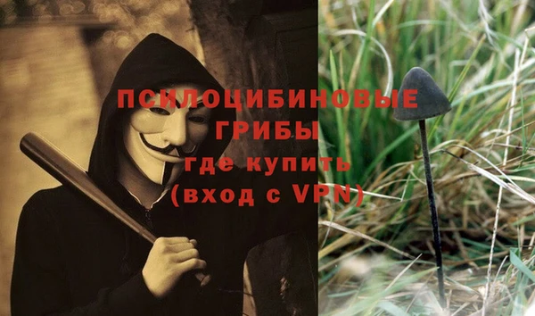 экстази Осинники
